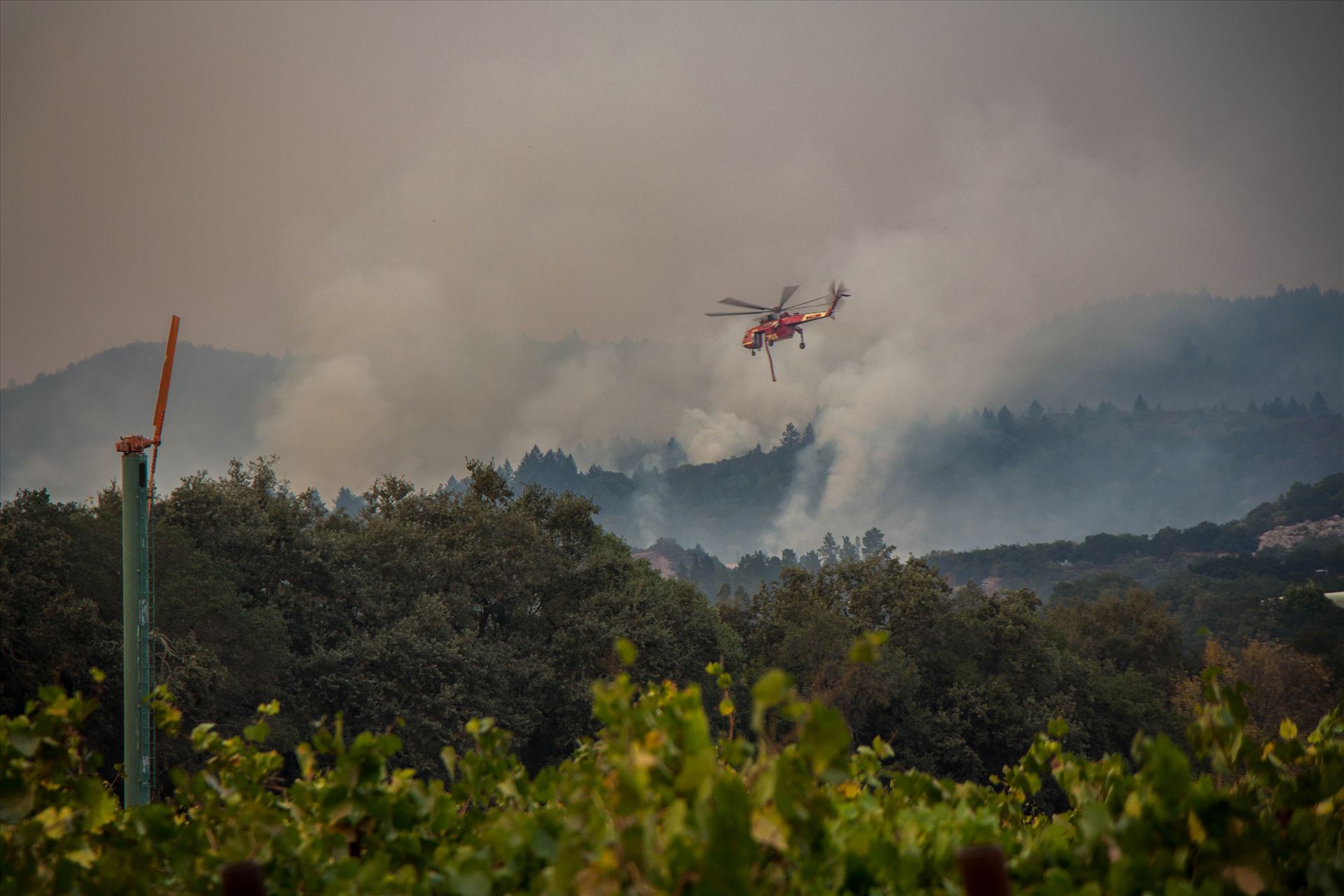 SonomaFire21.2.jpg -  by North Bay Wildfire Relief